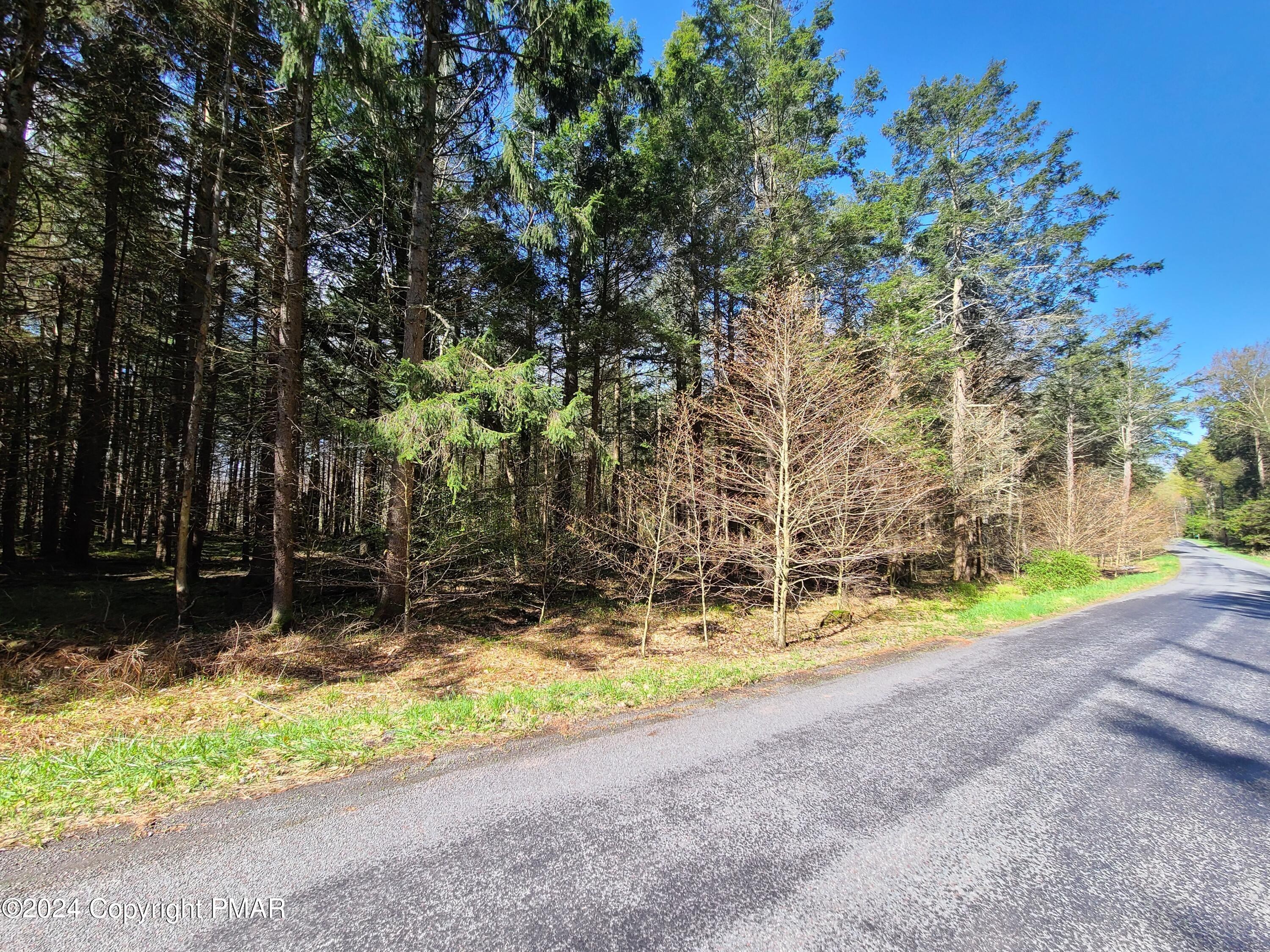 2. Lot 511 E Forest Road