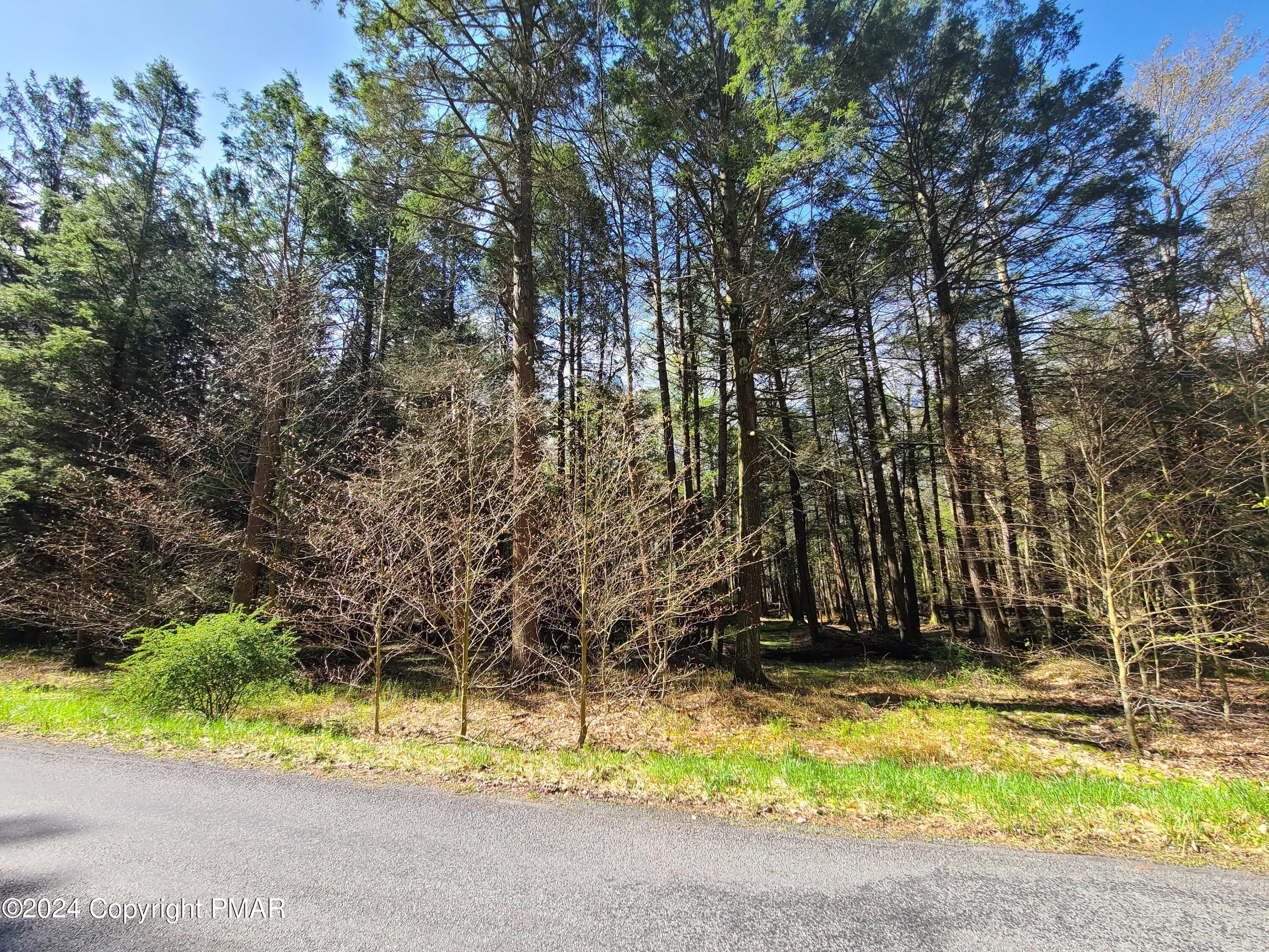 1. Lot 511 E Forest Road