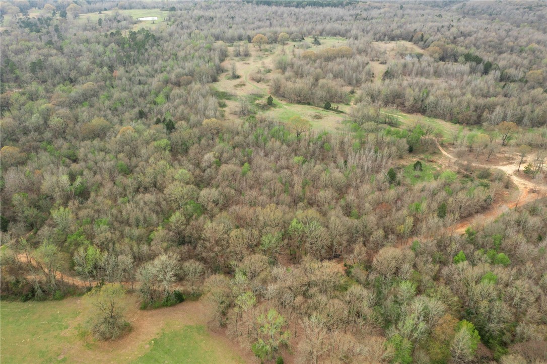 2. Woodpecker Trail