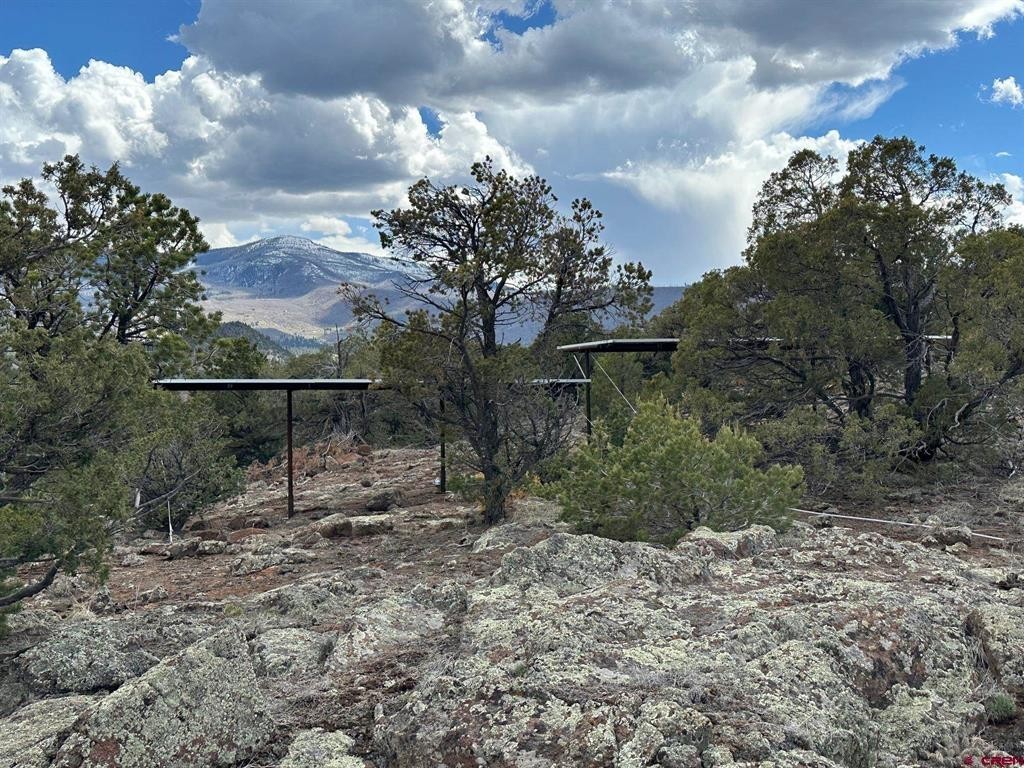 24. 236 High Ridge Trail