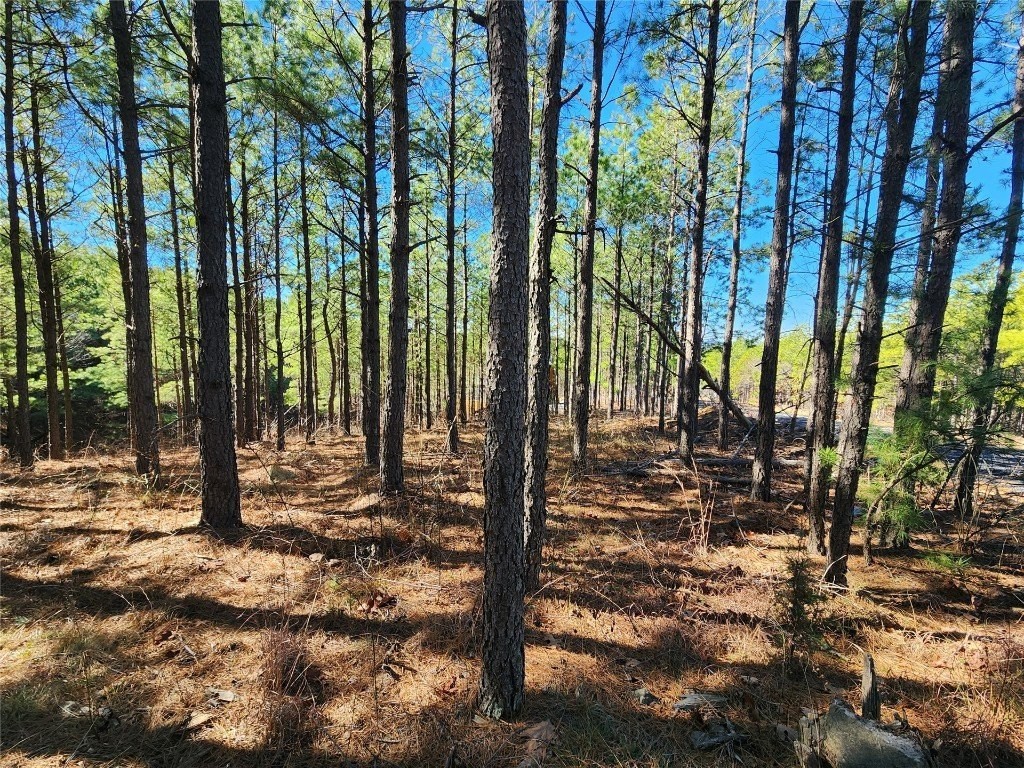 4. Timberline Trail