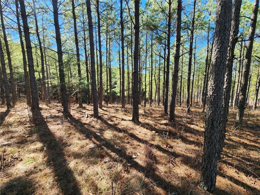 3. Timberline Trail