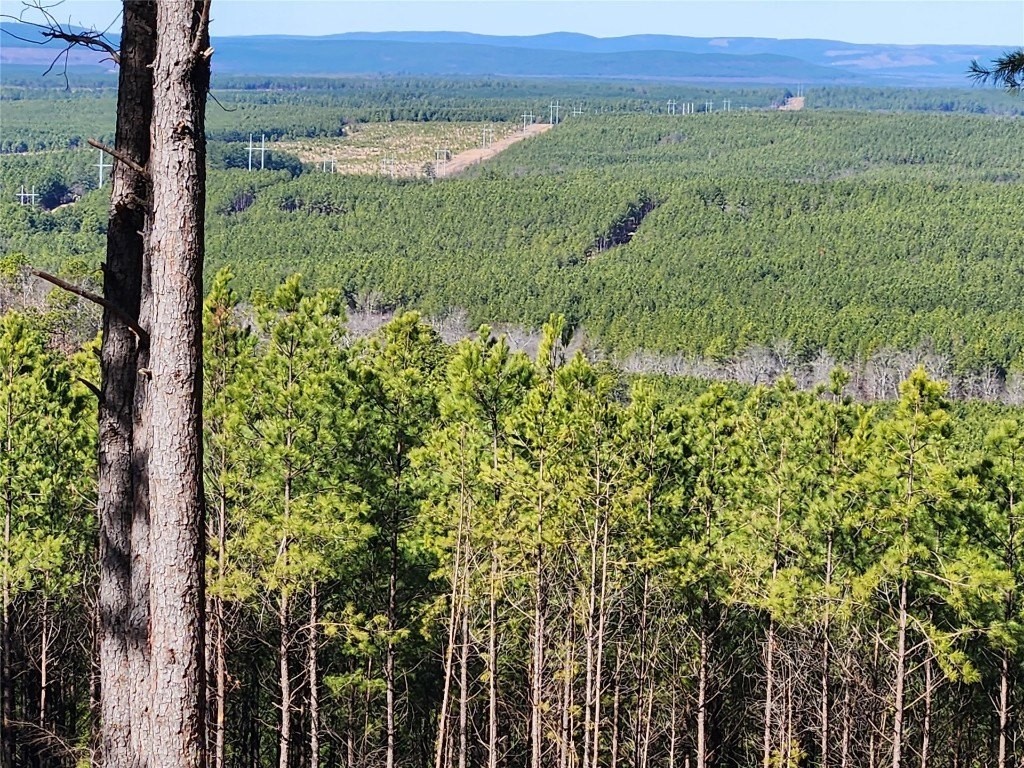 14. Timberline Trail