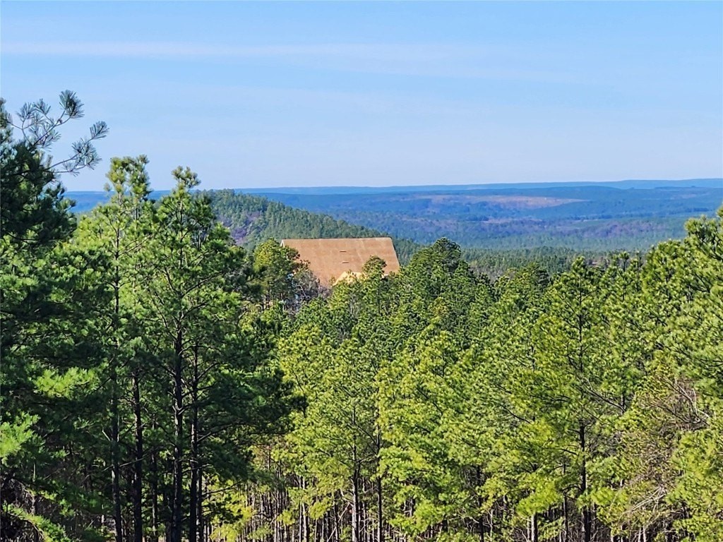 16. Timberline Trail