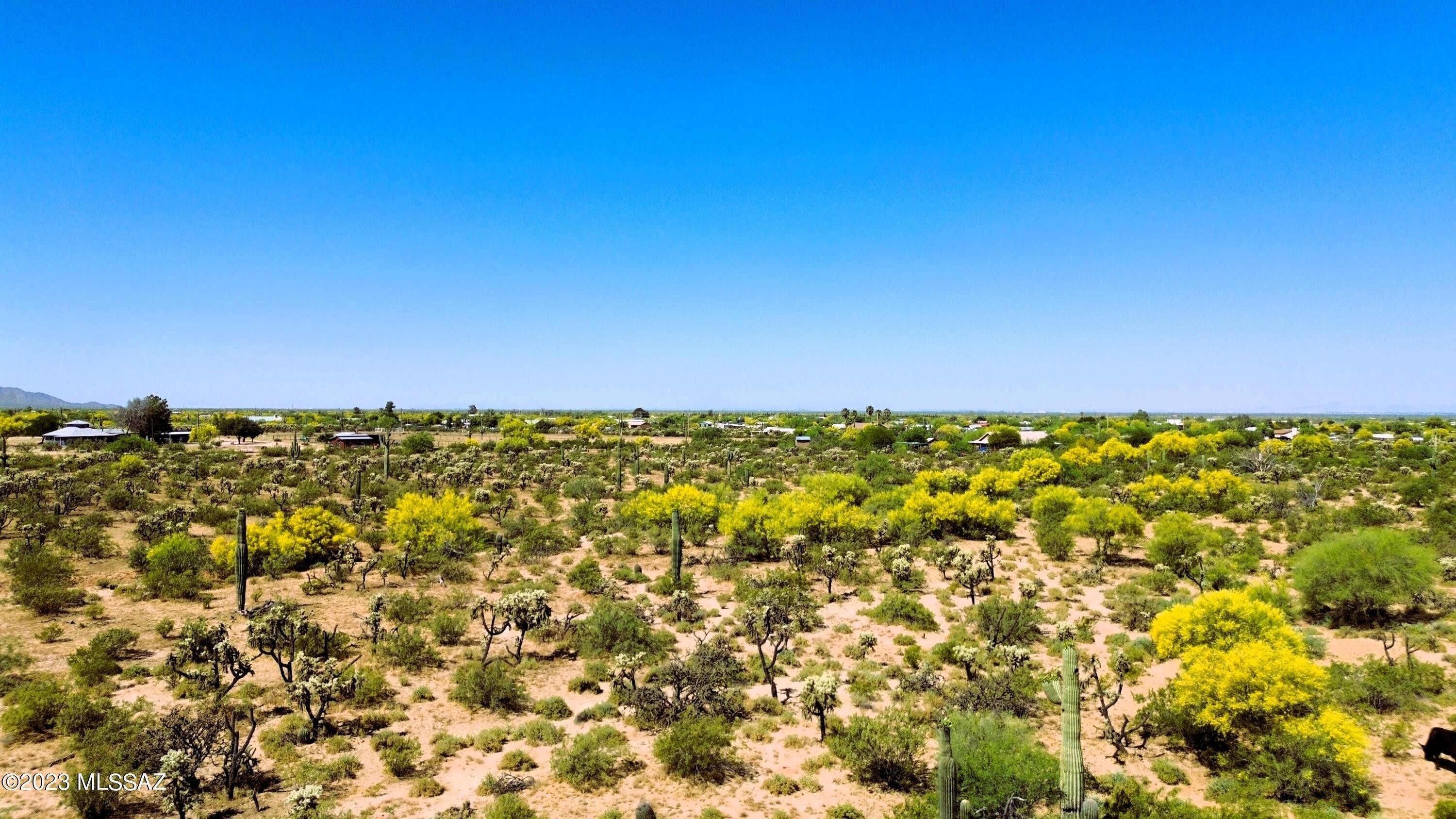 1. 34acres E Cactus Forest &amp; N. Reed Road