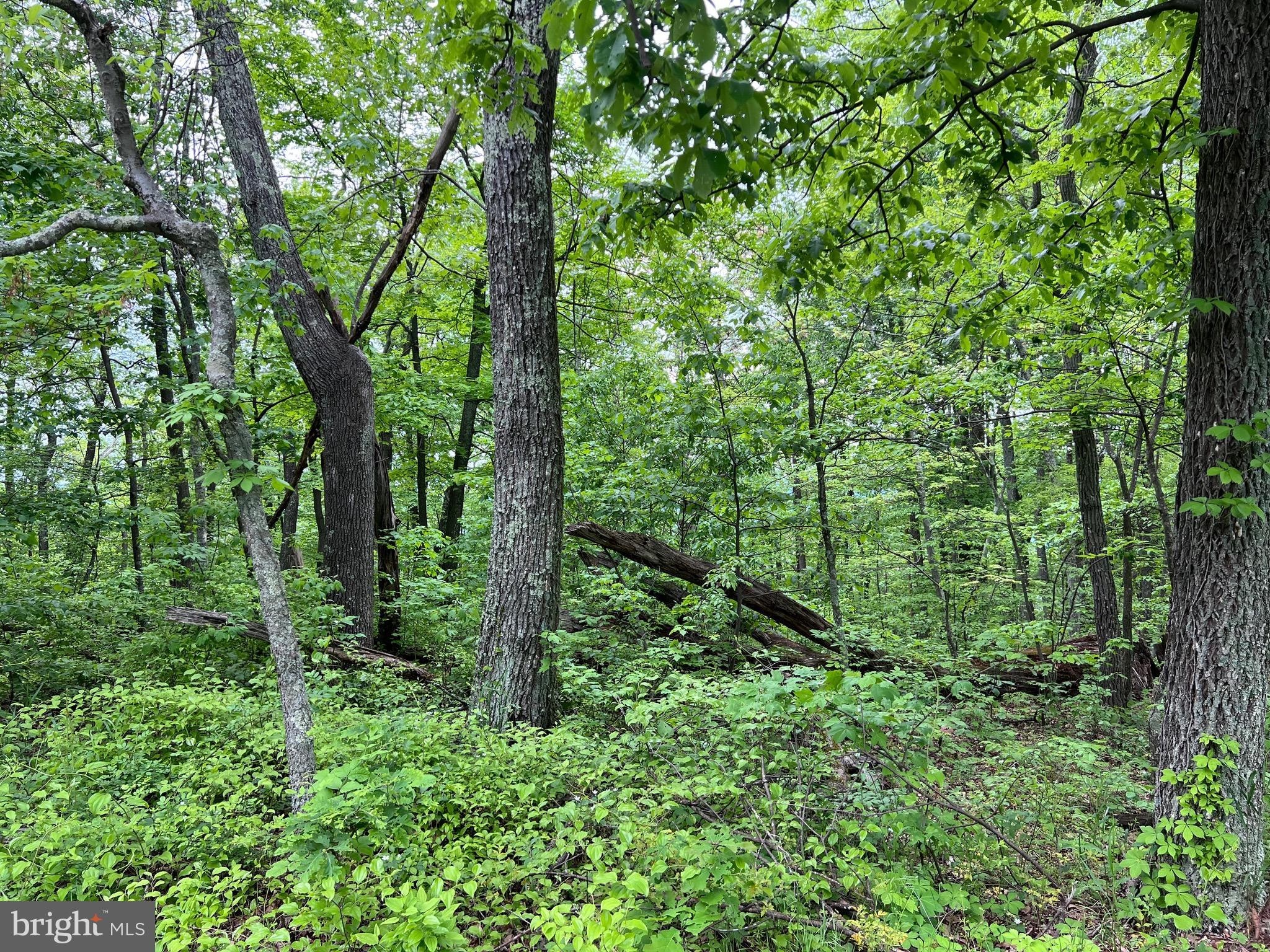 10. Quaint Acres Lane