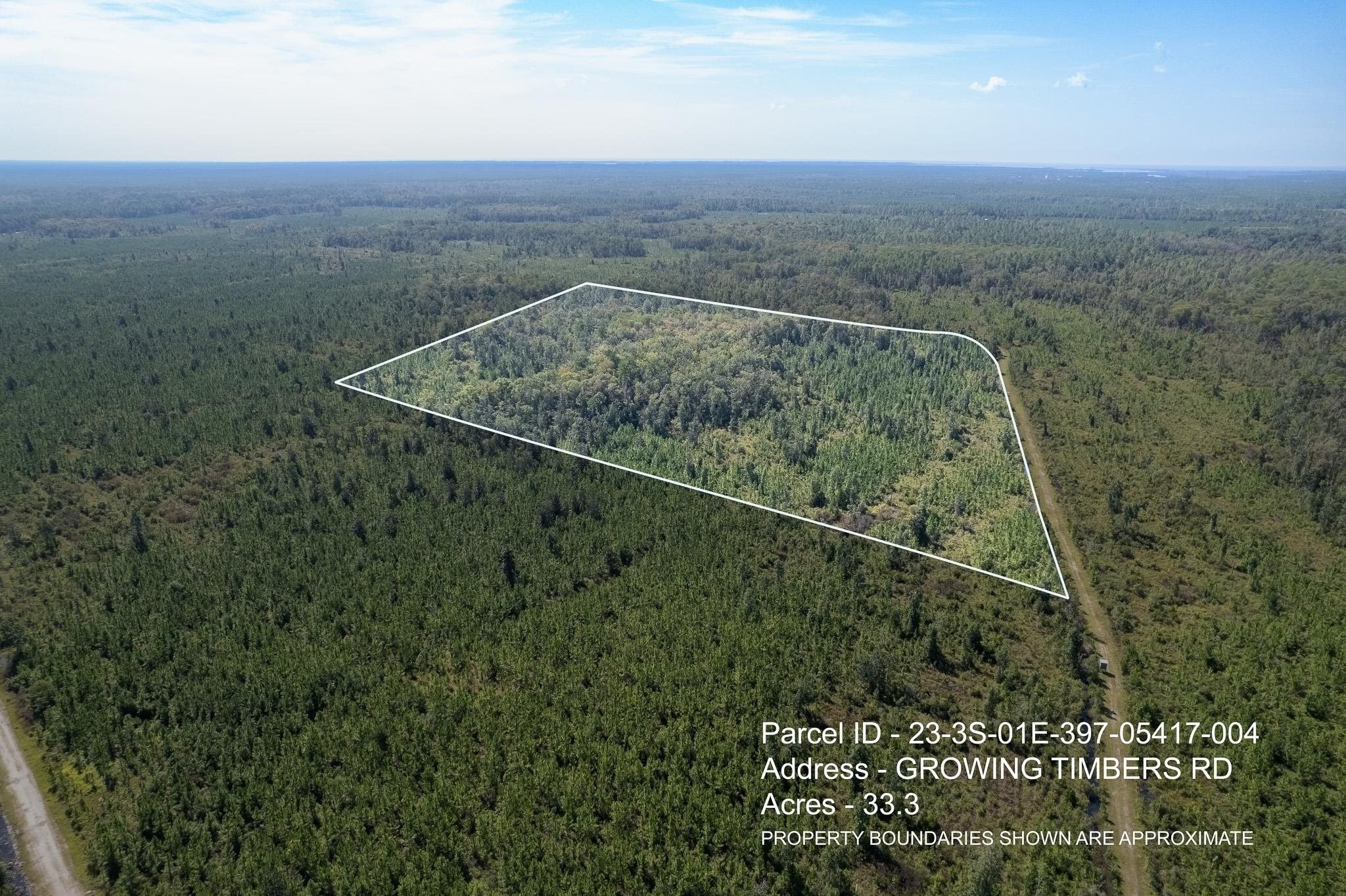 1. Lot 4 Growing Timbers Road