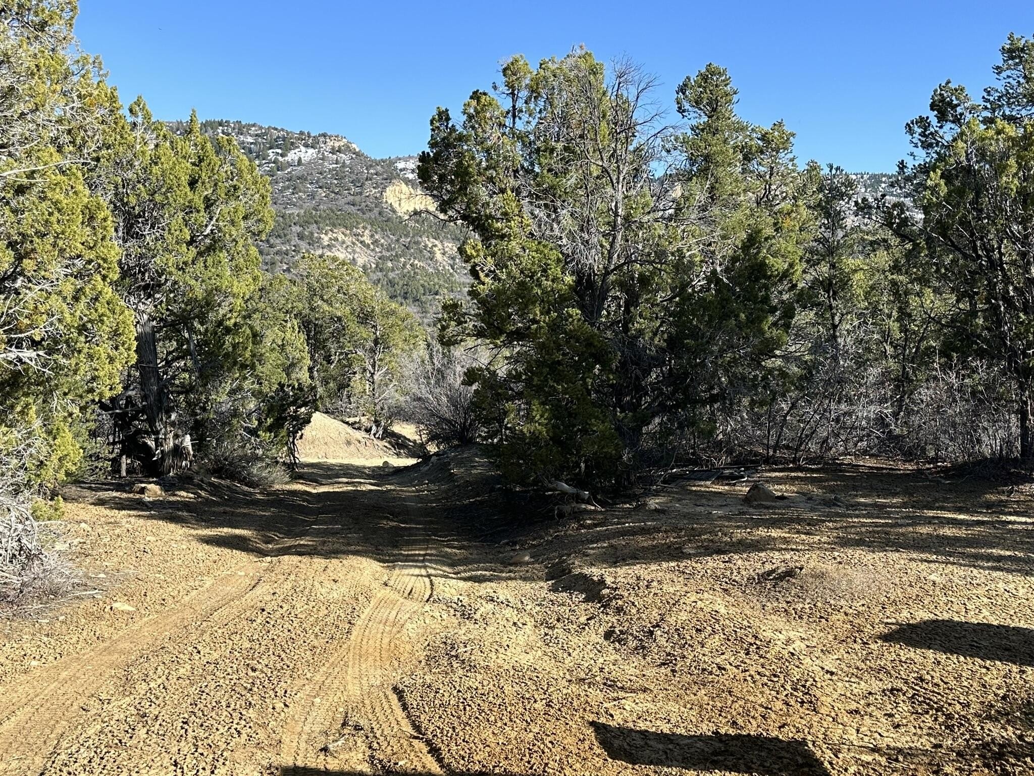 1. 3 Acres In North Fork Sub / Cougar Cyn