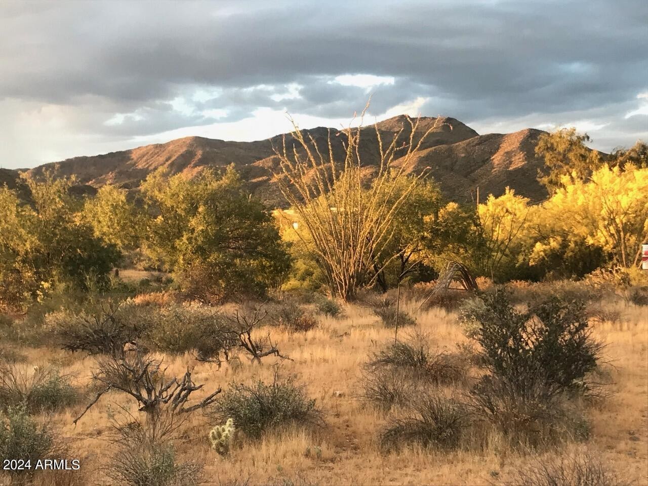 1. 39005 N Crested Quail Run