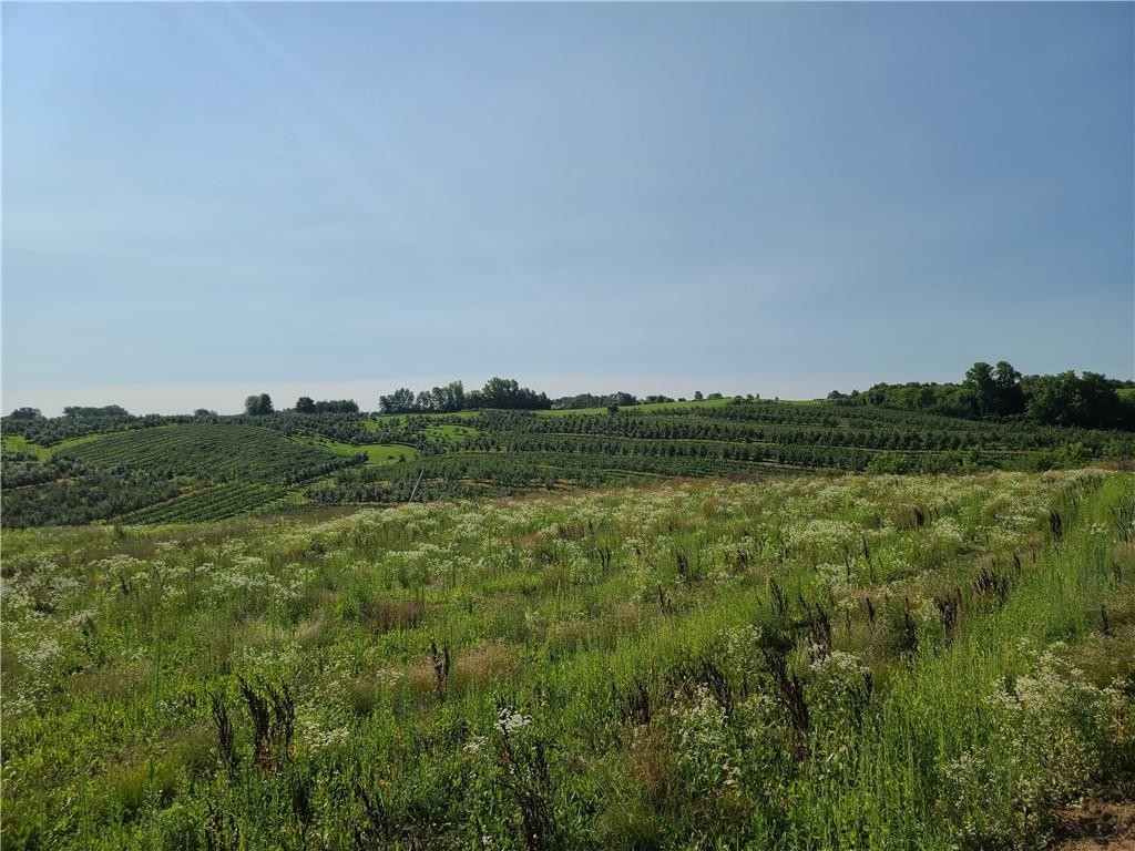 4. Lot 17 22nd Avenue