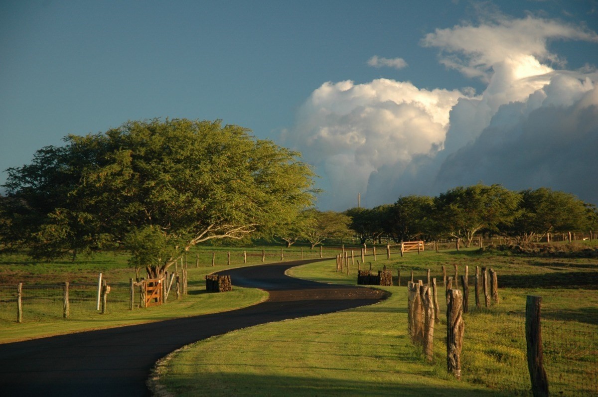 6. 56-101 Pualani Rd