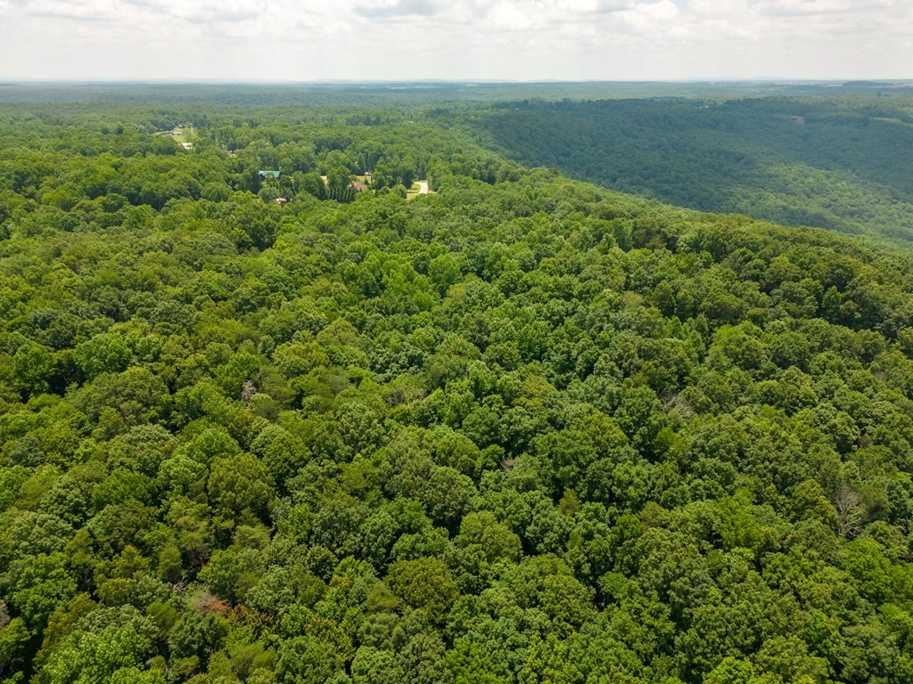 10. 7+ Acres Bluff View Dr