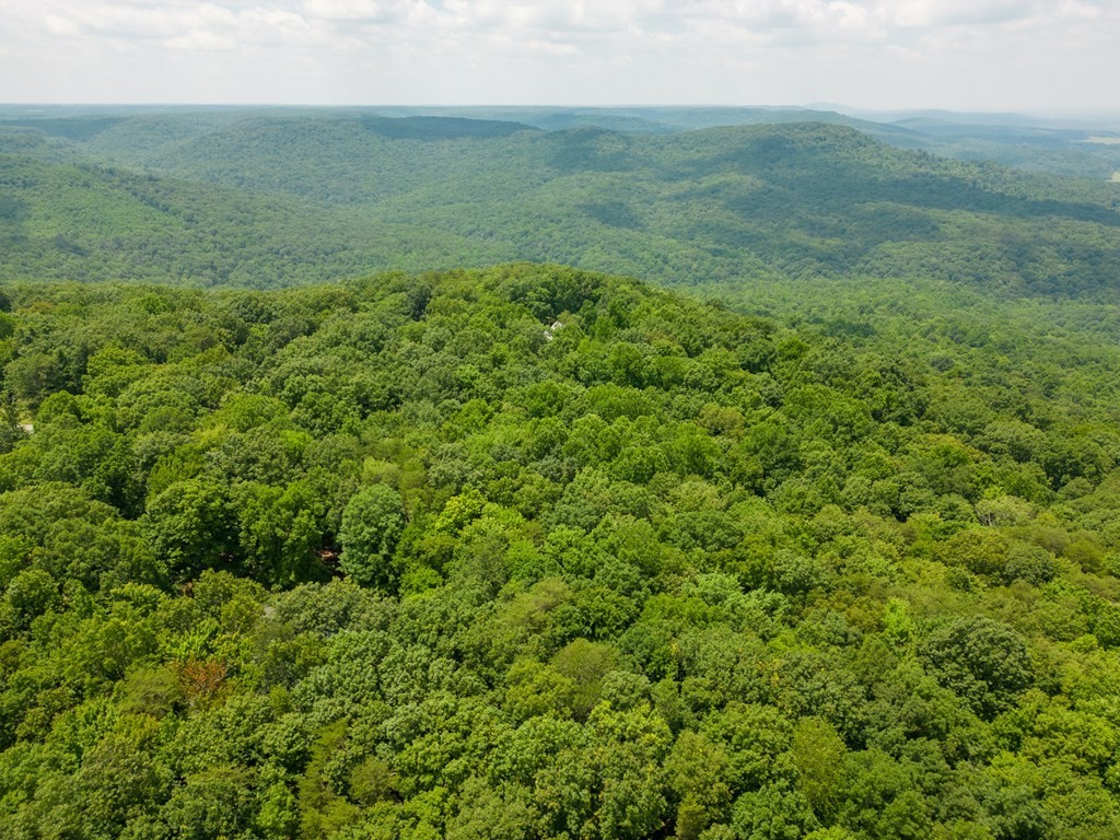 7. 7+ Acres Bluff View Dr
