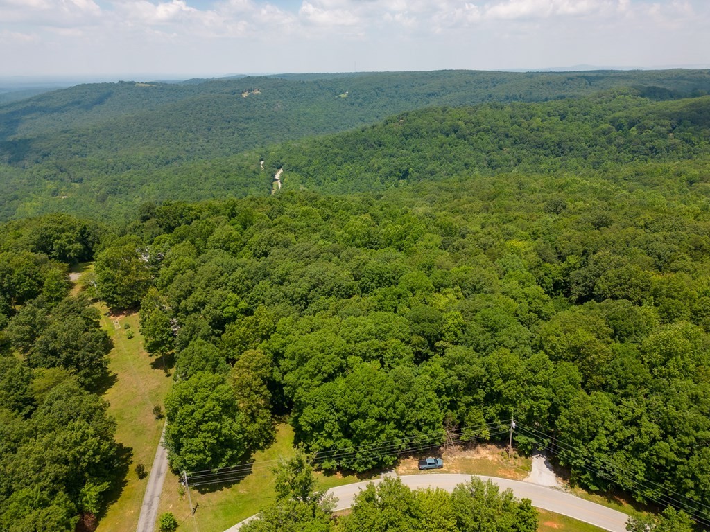 14. 7+ Acres Bluff View Dr
