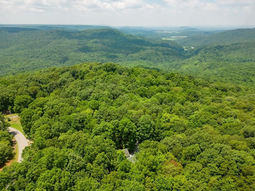 1. 7+ Acres Bluff View Dr