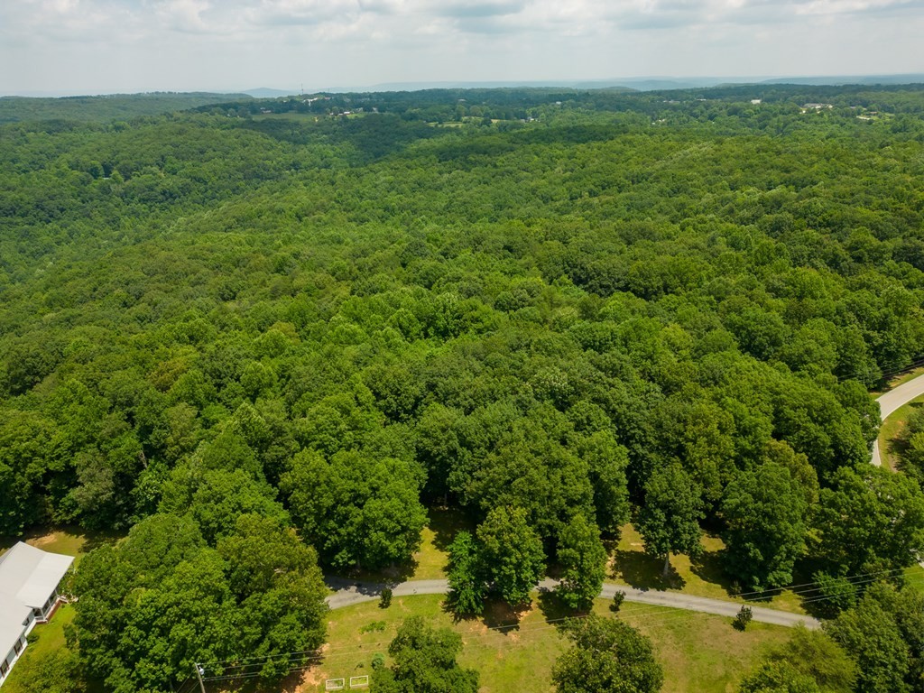 13. 7+ Acres Bluff View Dr
