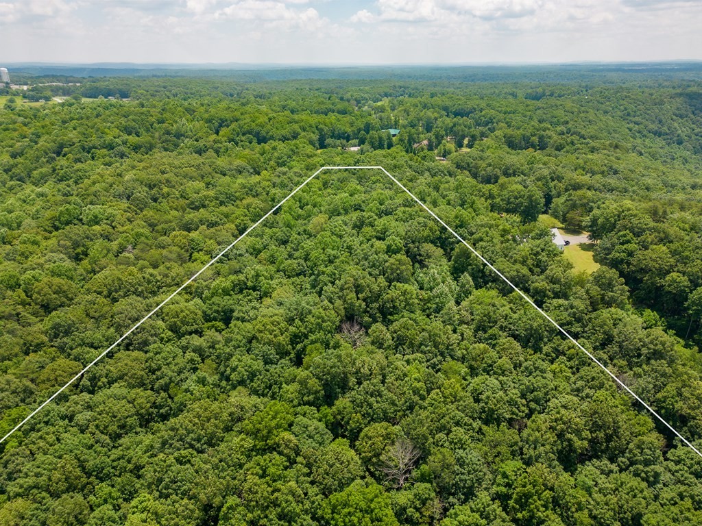 11. 7+ Acres Bluff View Dr
