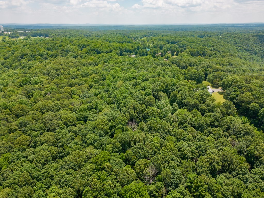 12. 7+ Acres Bluff View Dr