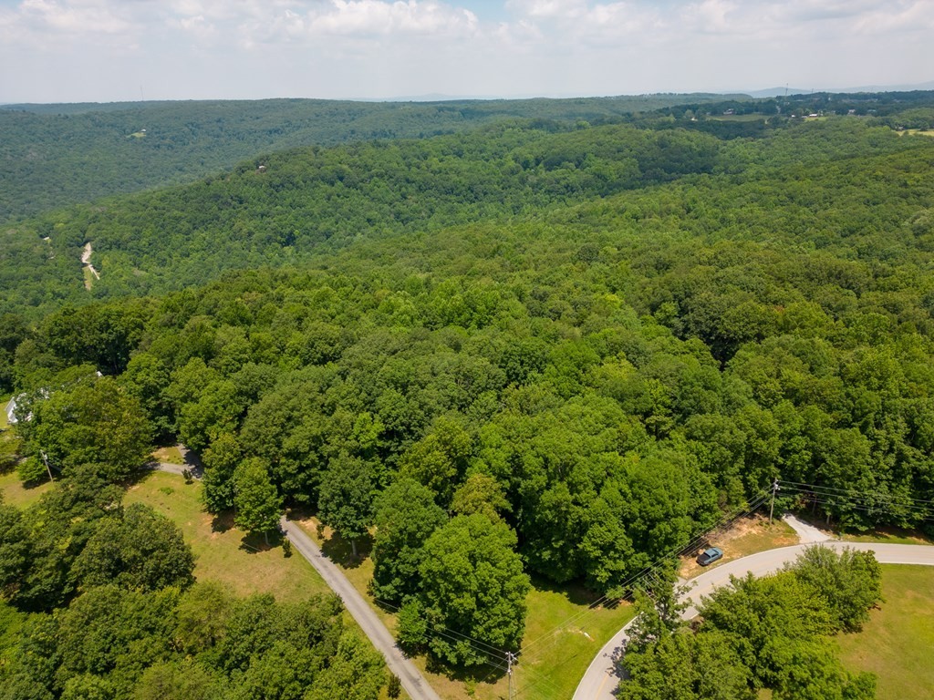 15. 7+ Acres Bluff View Dr