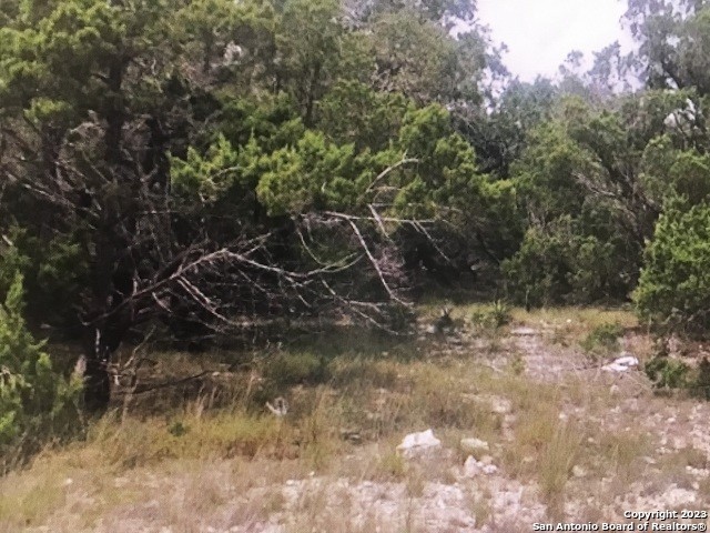 11. Lot 181 Mountain Springs