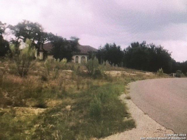 12. Lot 181 Mountain Springs