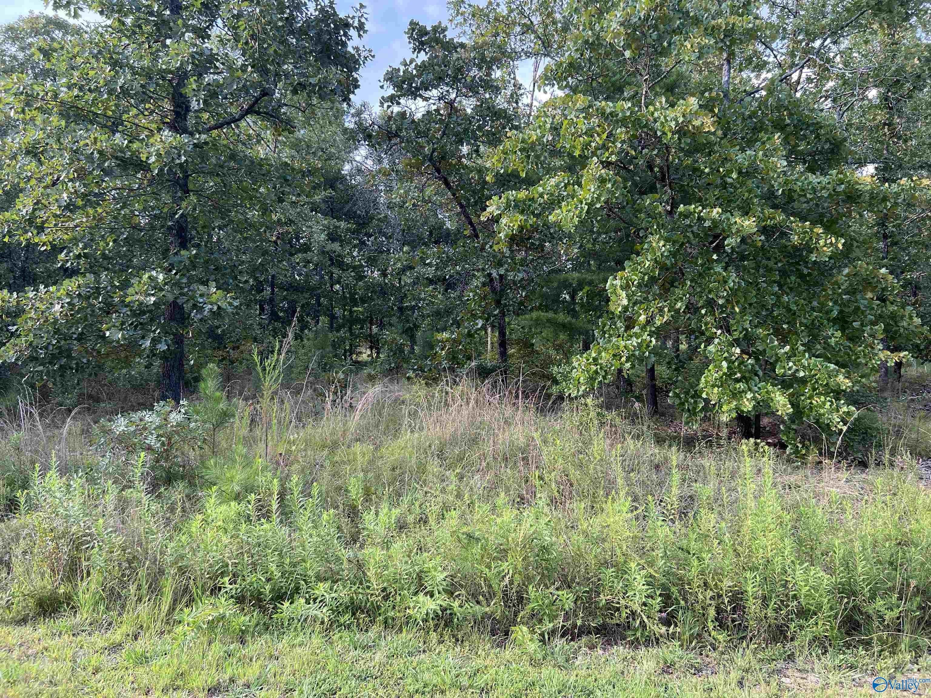 2. Lot 4 County Road 819