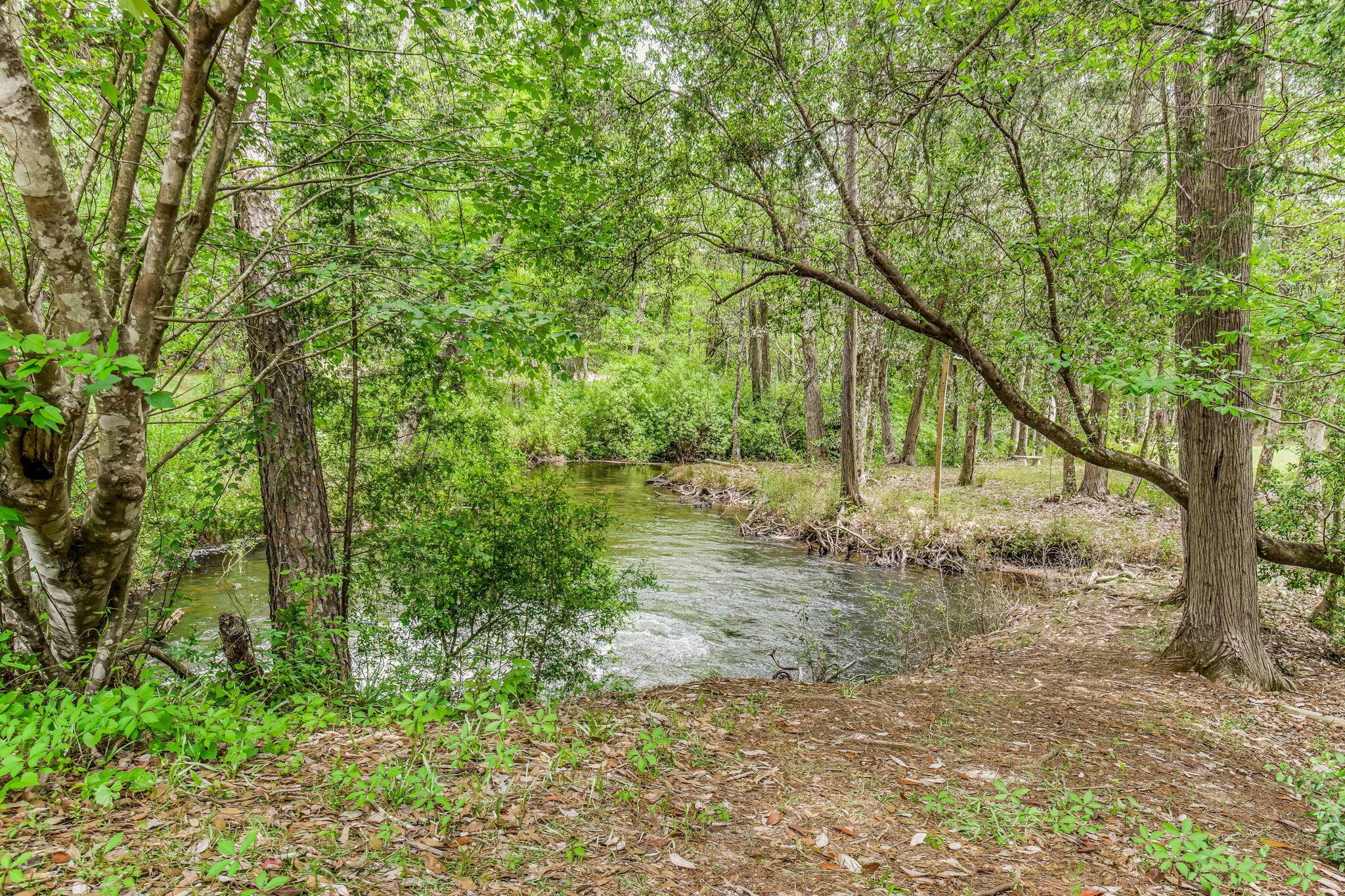 1. 0000 Bobcat Trail