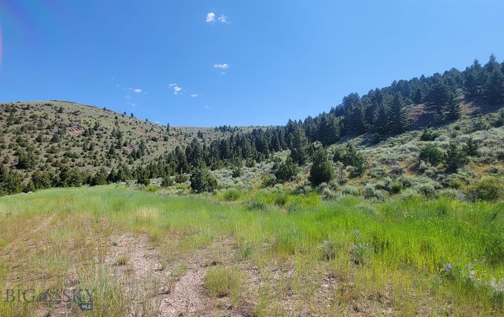 20. Tbd - 245.7 Acres Private Road Off Mt Hwy 287