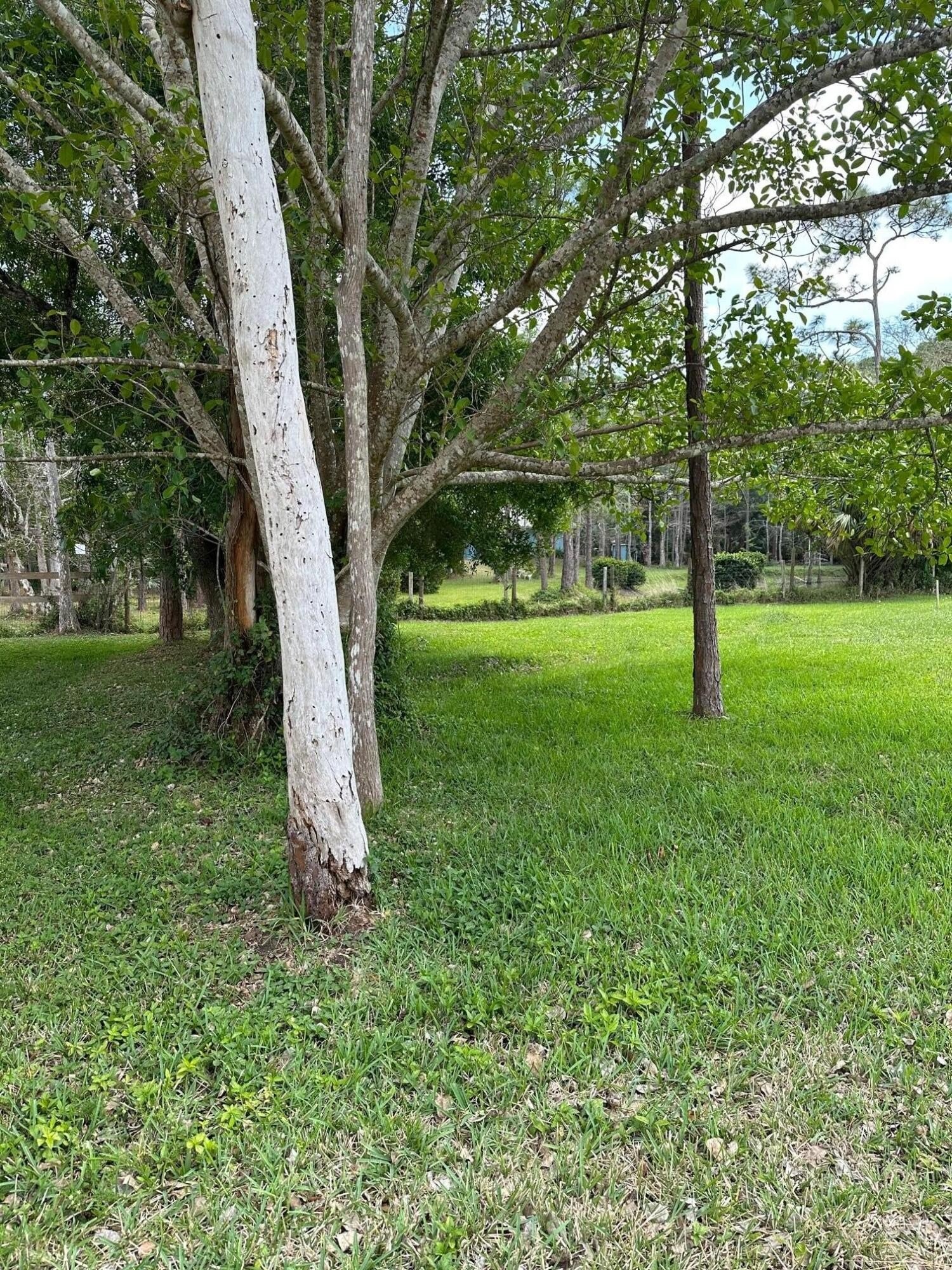 9. Lot 1070 159th Court N