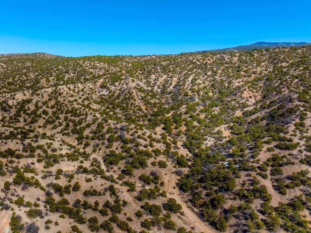 12. 53 Acres Canon Escondido