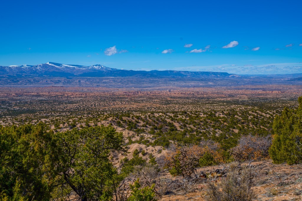 31. 53 Acres Canon Escondido