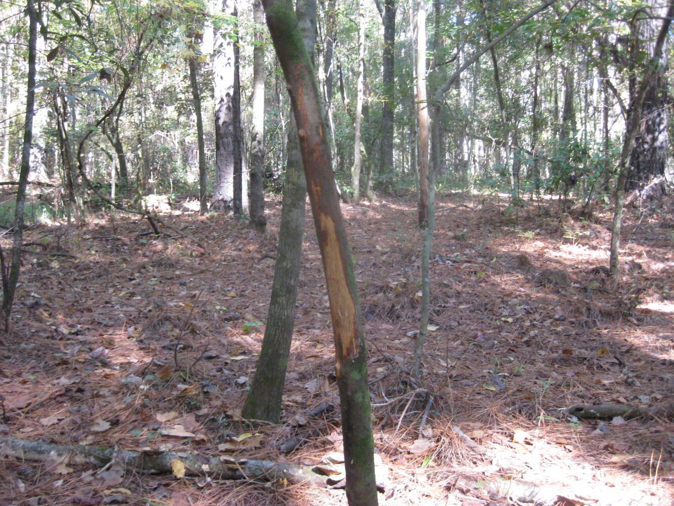 27. Fronting I-95 And Little Pee Dee River