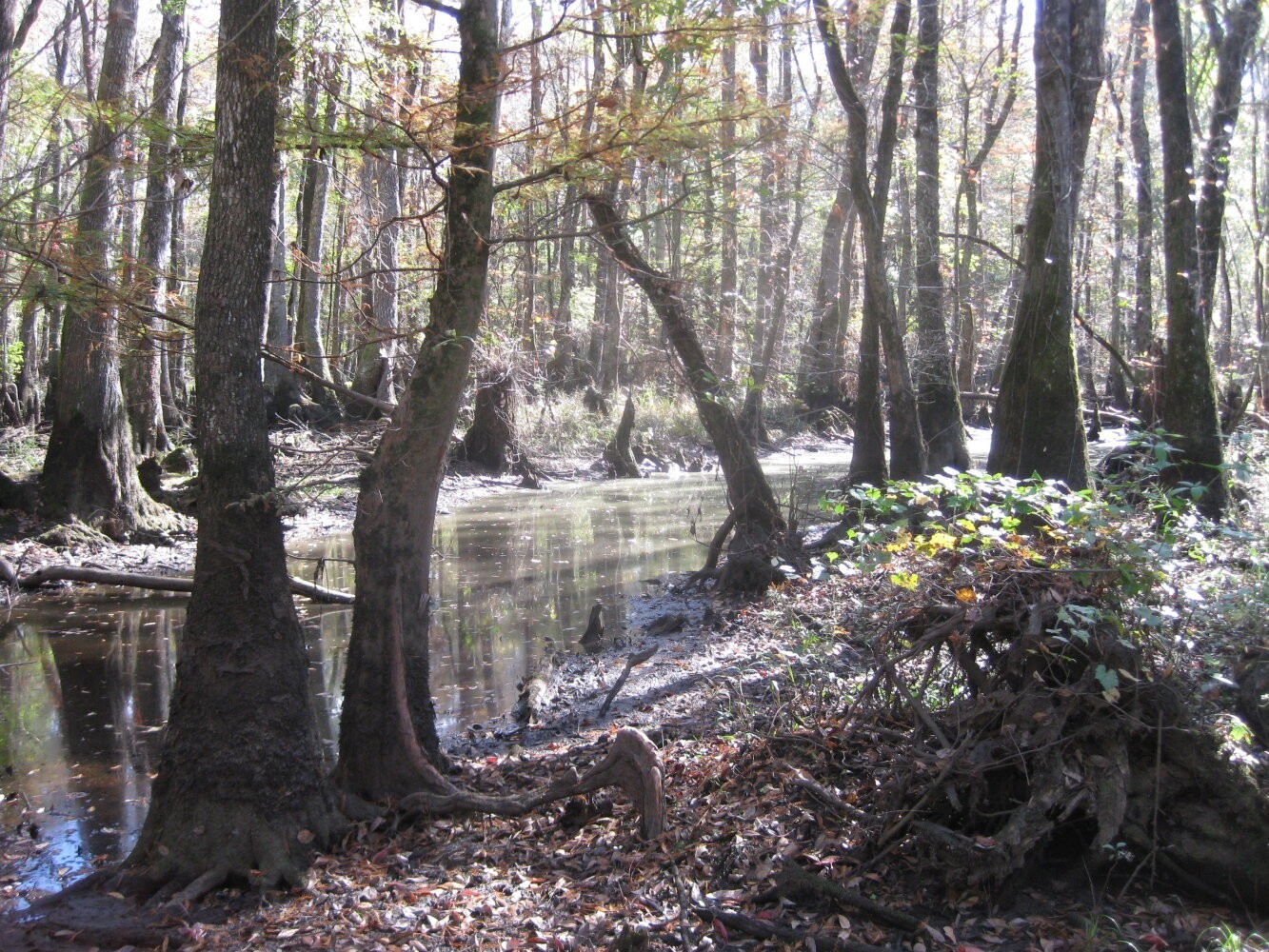 2. Fronting I-95 And Little Pee Dee River