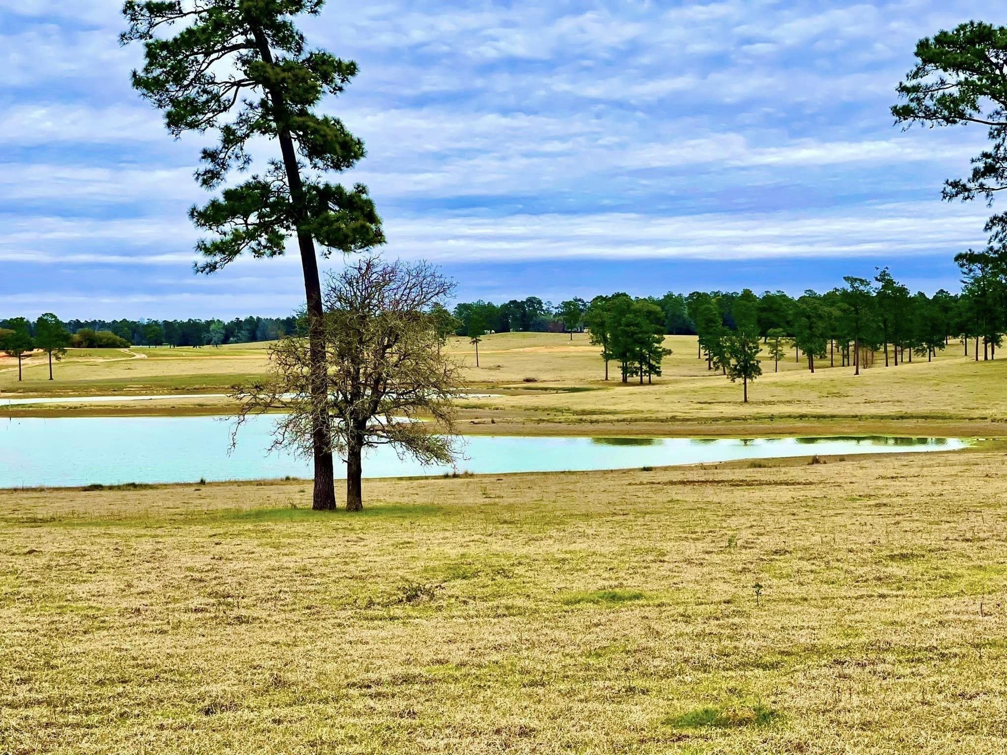 3. Tbd Lakeland Ranch Lot 235