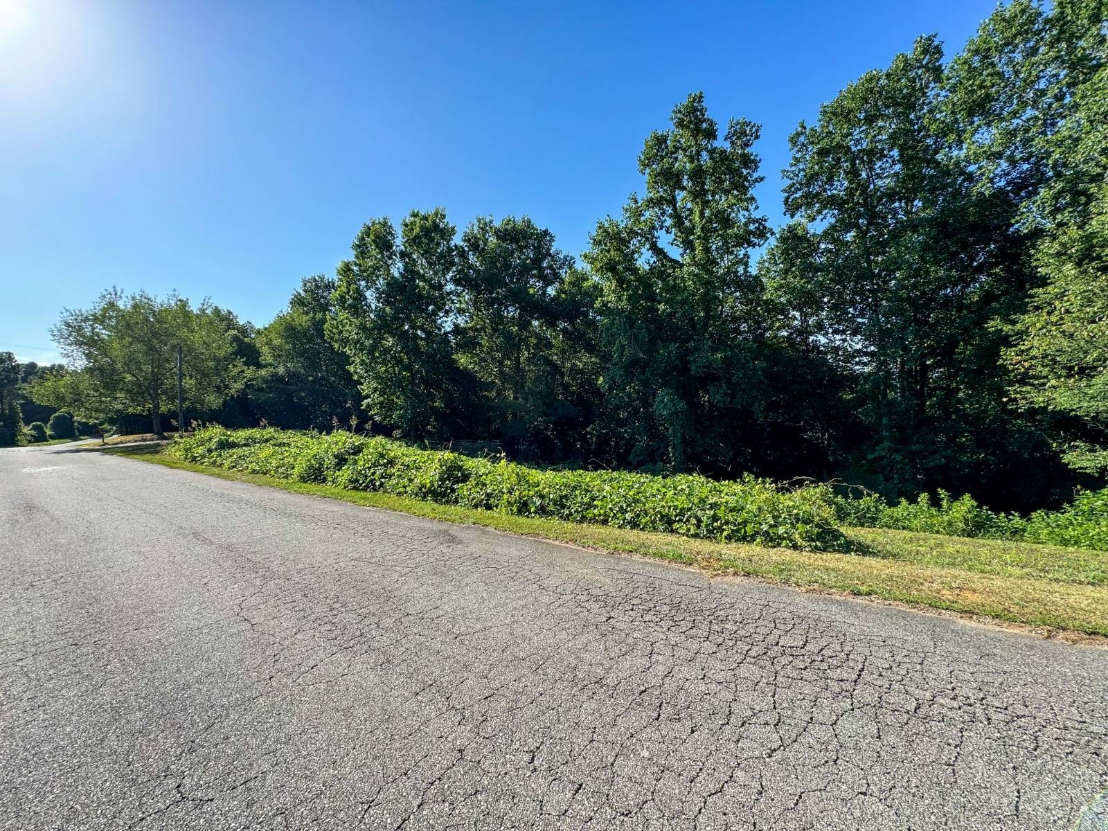 14. 0 County Road 897 (Lot 44 Springwater Coves)