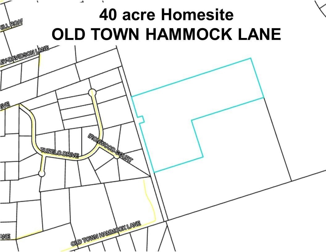 11. 40 Ac Old Town Hammock Lane