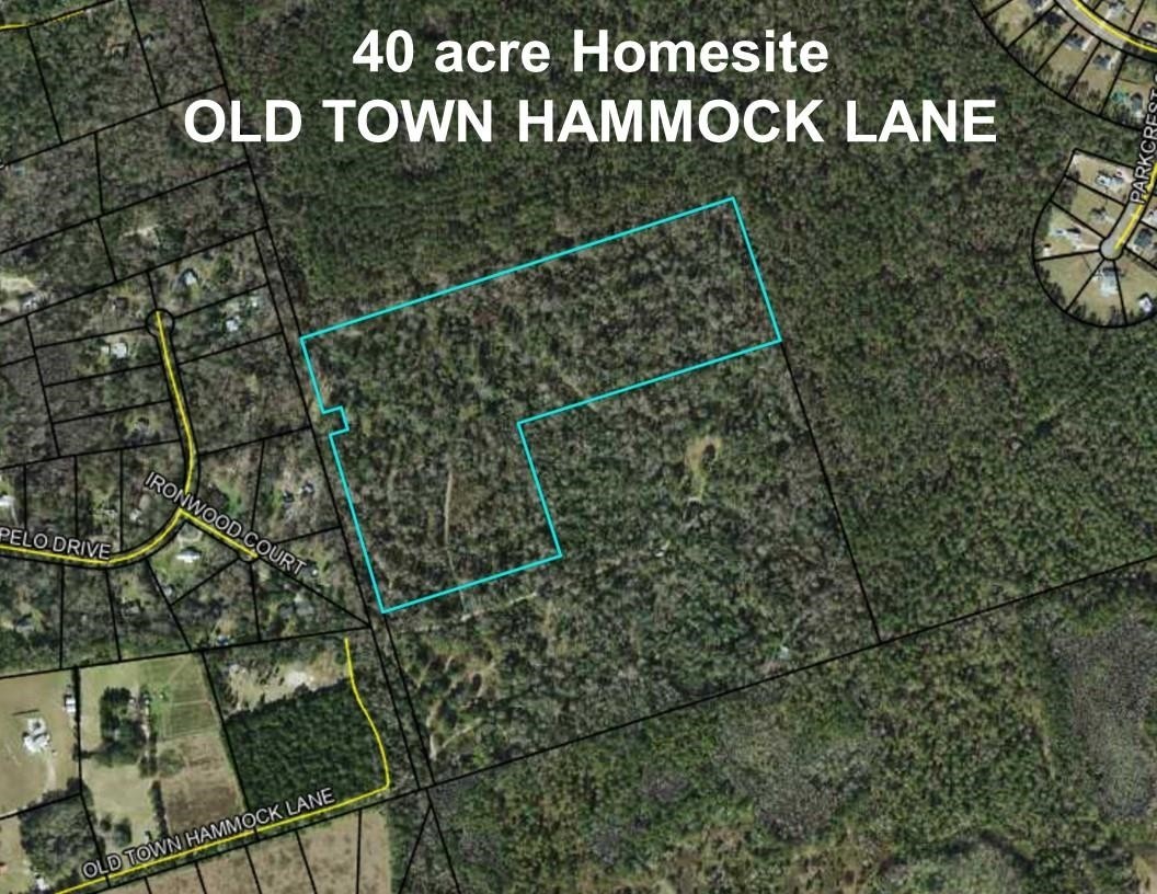 4. 40 Ac Old Town Hammock Lane