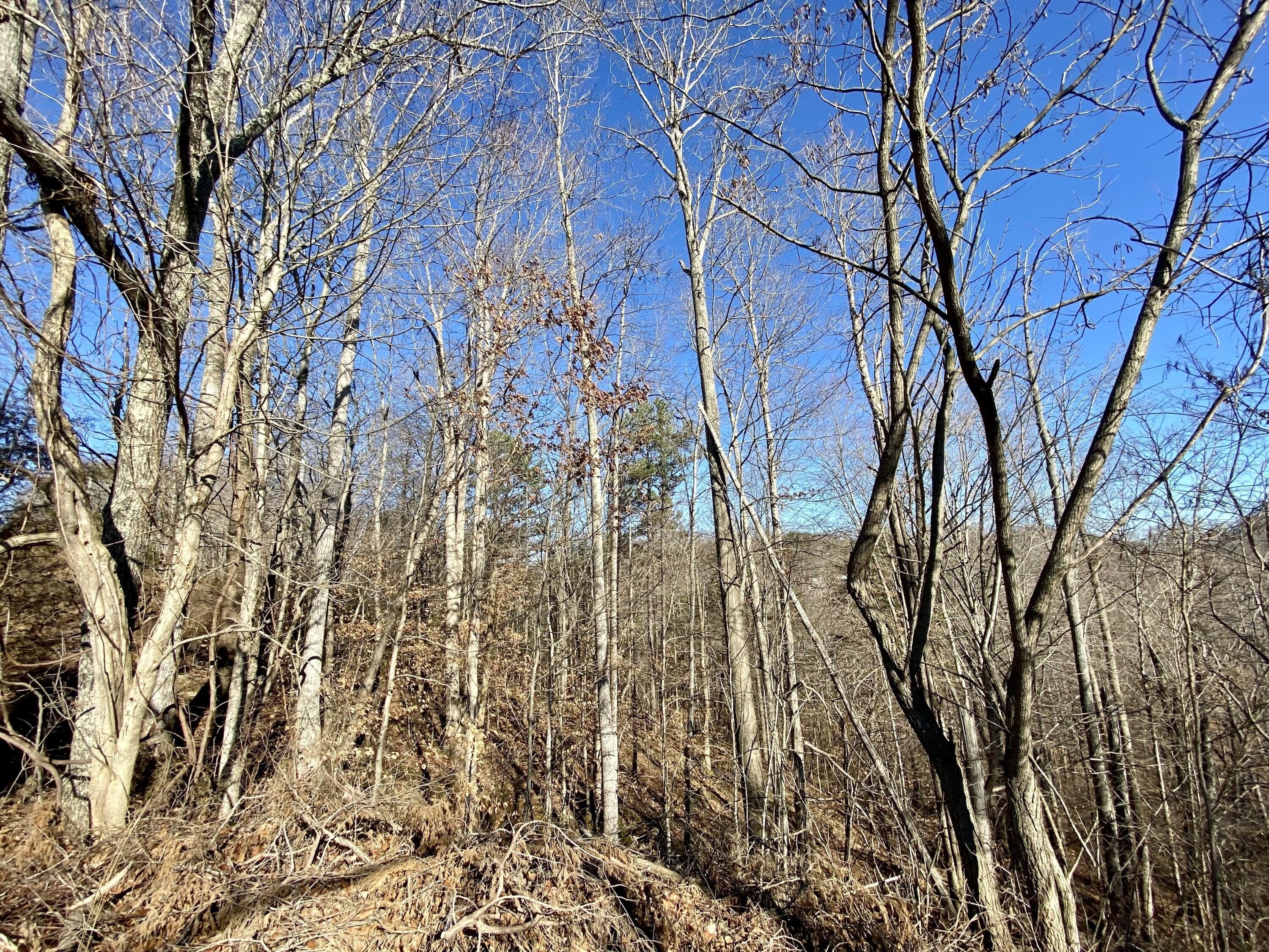 4. 0 Bridge Hollow Road