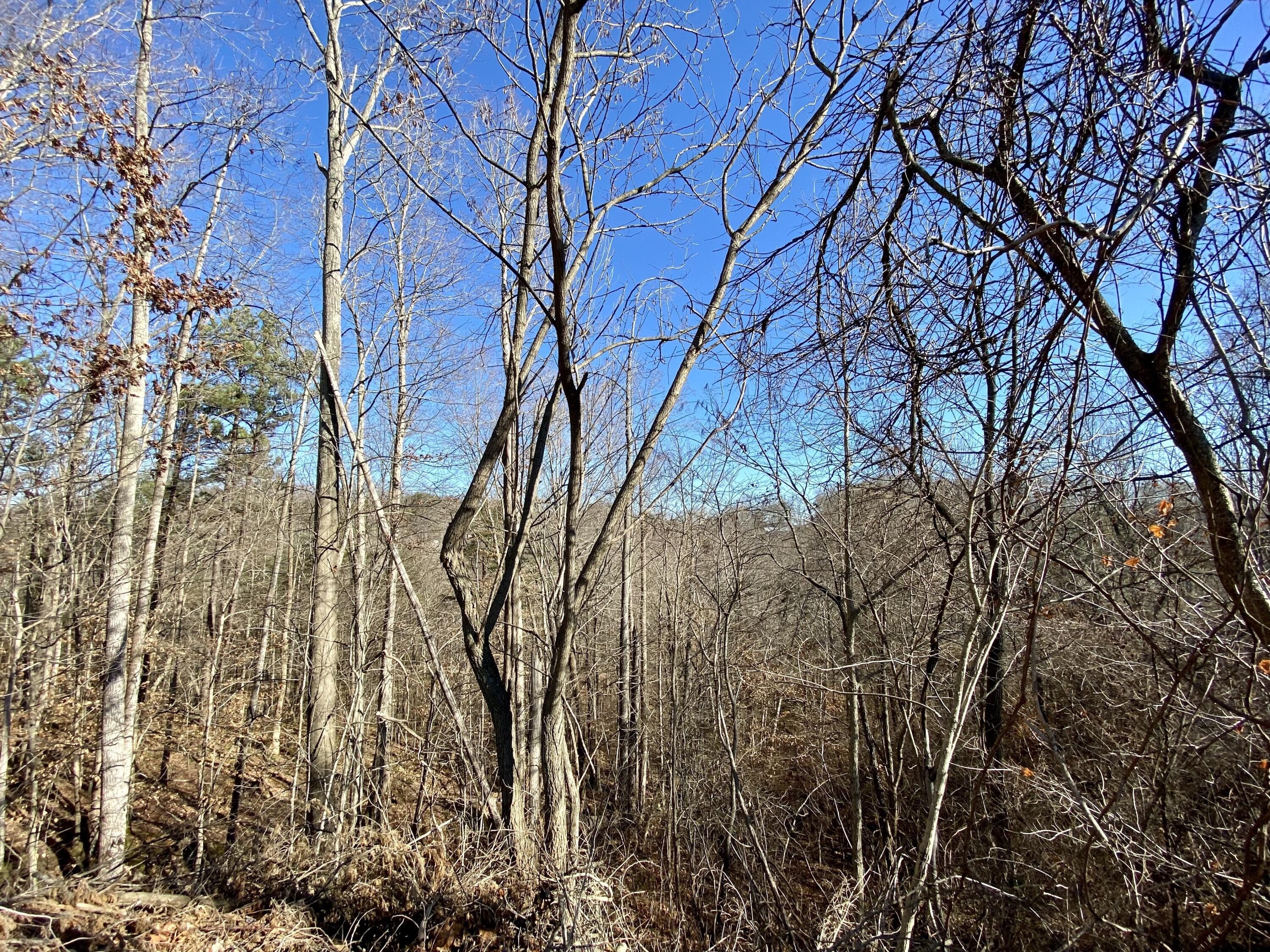 3. 0 Bridge Hollow Road