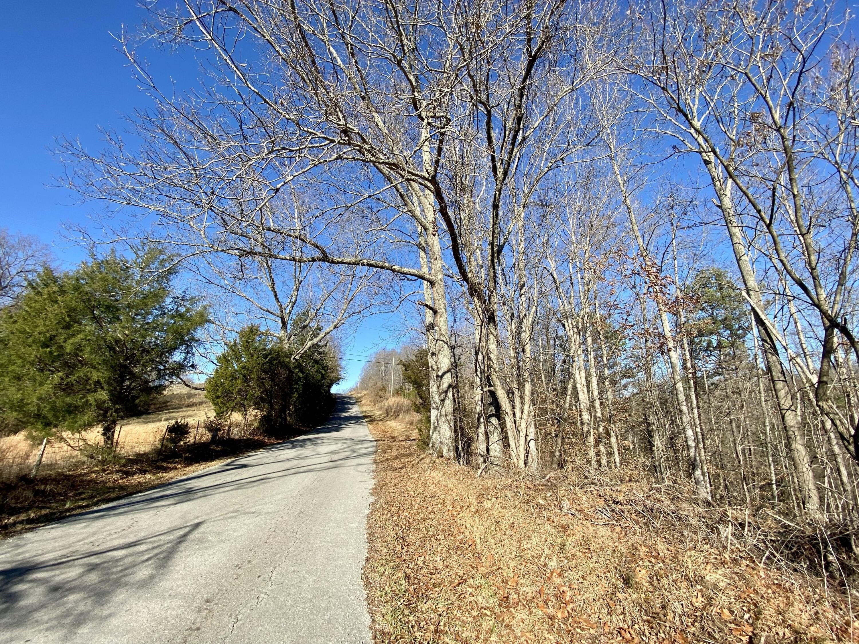 1. 0 Bridge Hollow Road