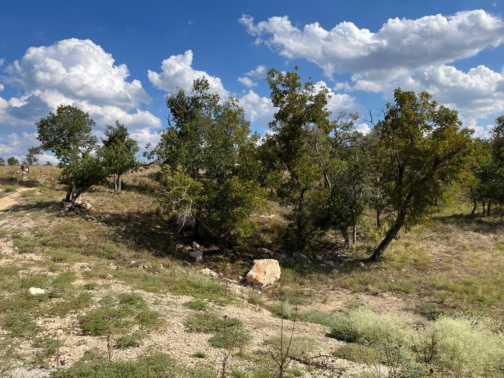 9. Lot 77 Canyons Dr