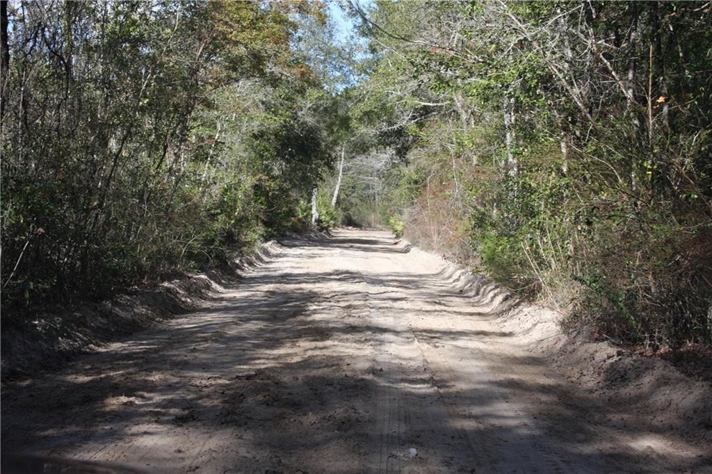 2. 0 Joseph Wiggins/Mineral Springs Rd Road