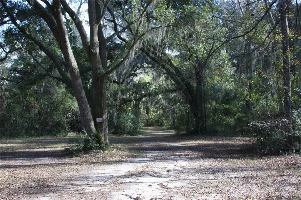 1. 0 Joseph Wiggins/Mineral Springs Rd Road