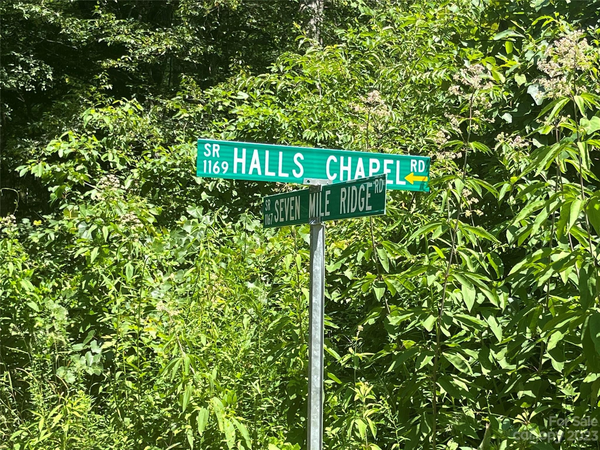 46. 0000 Halls Chapel Woods