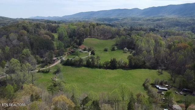 7. 21.364 Acres Knob Rd