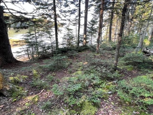 3. Lot 13 Collins Cove Road