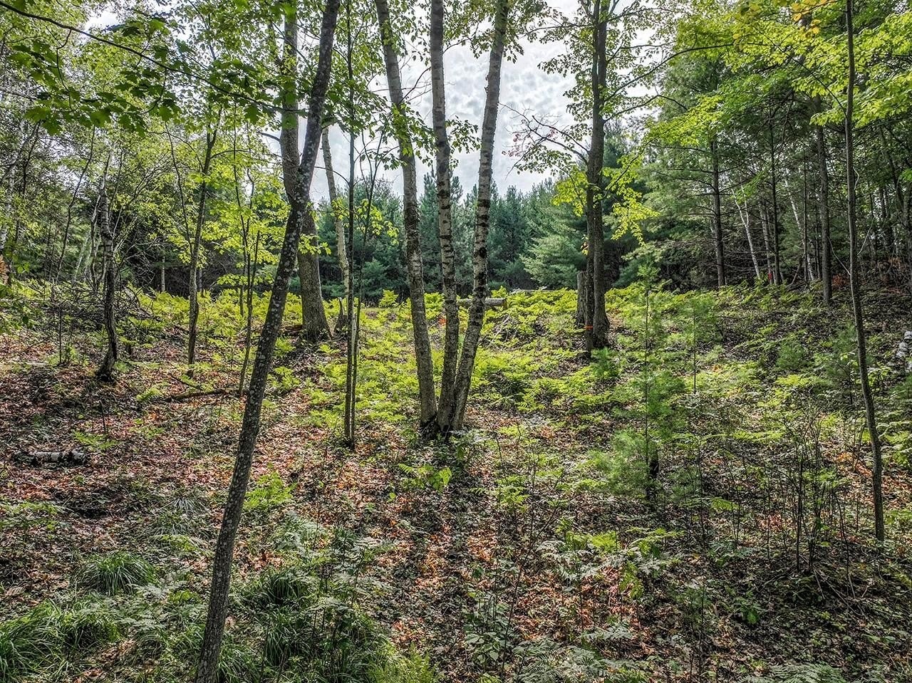 9. Lot 2 Oneil Rd