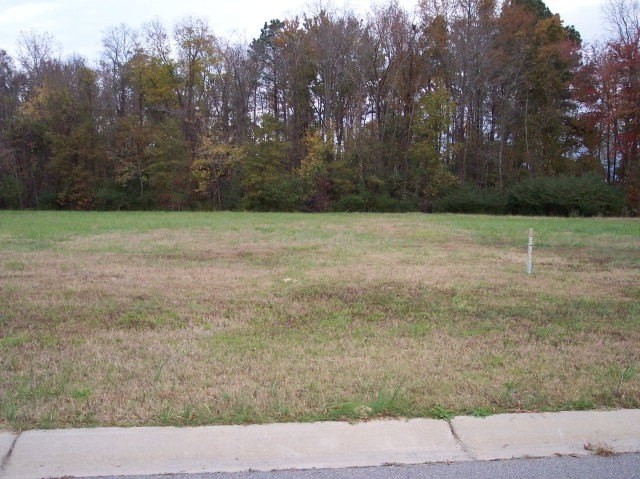 2. 135 Pinewood Drive  Lot