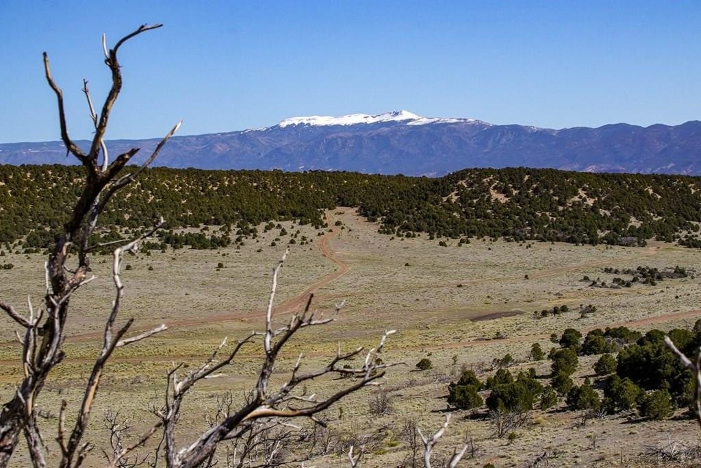 1. Tbd Colorado Land And Grazing