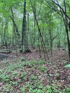 21. 17.75 Ac County Road G